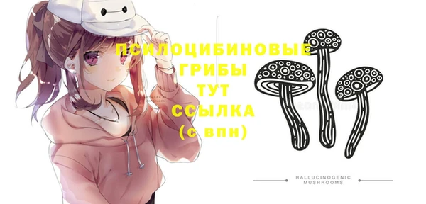 MESCALINE Лихославль